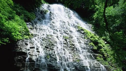 节能电子稳定性